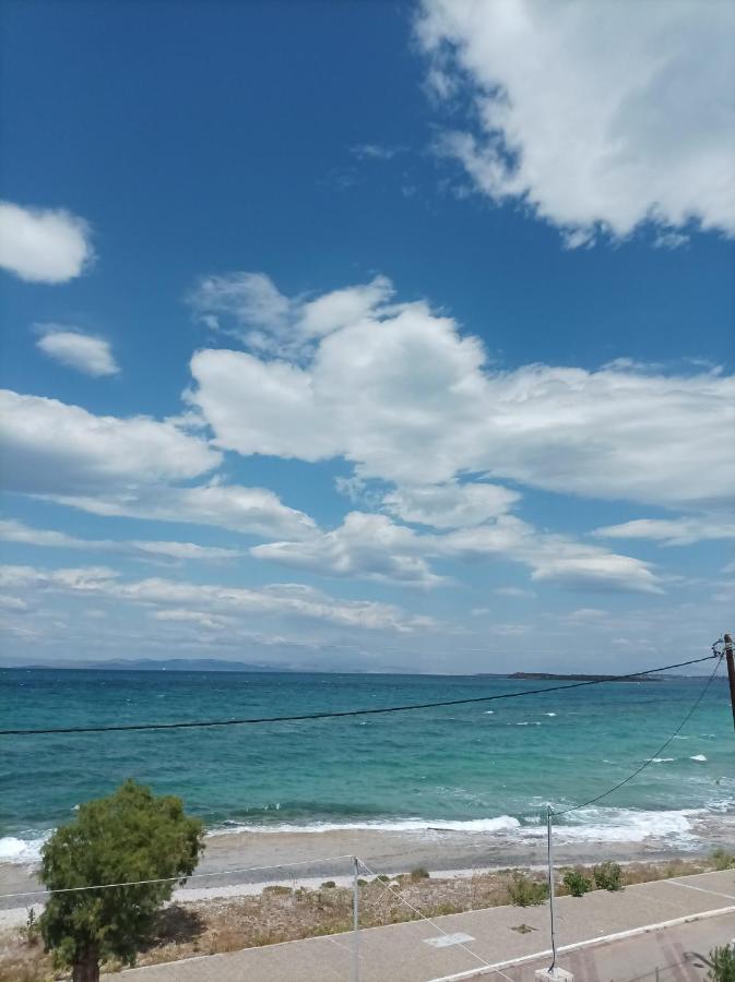 Studios Antoniou สกาลา ภายนอก รูปภาพ