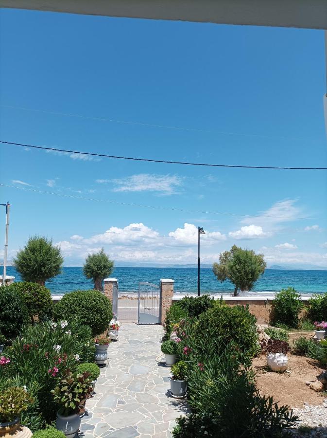 Studios Antoniou สกาลา ภายนอก รูปภาพ