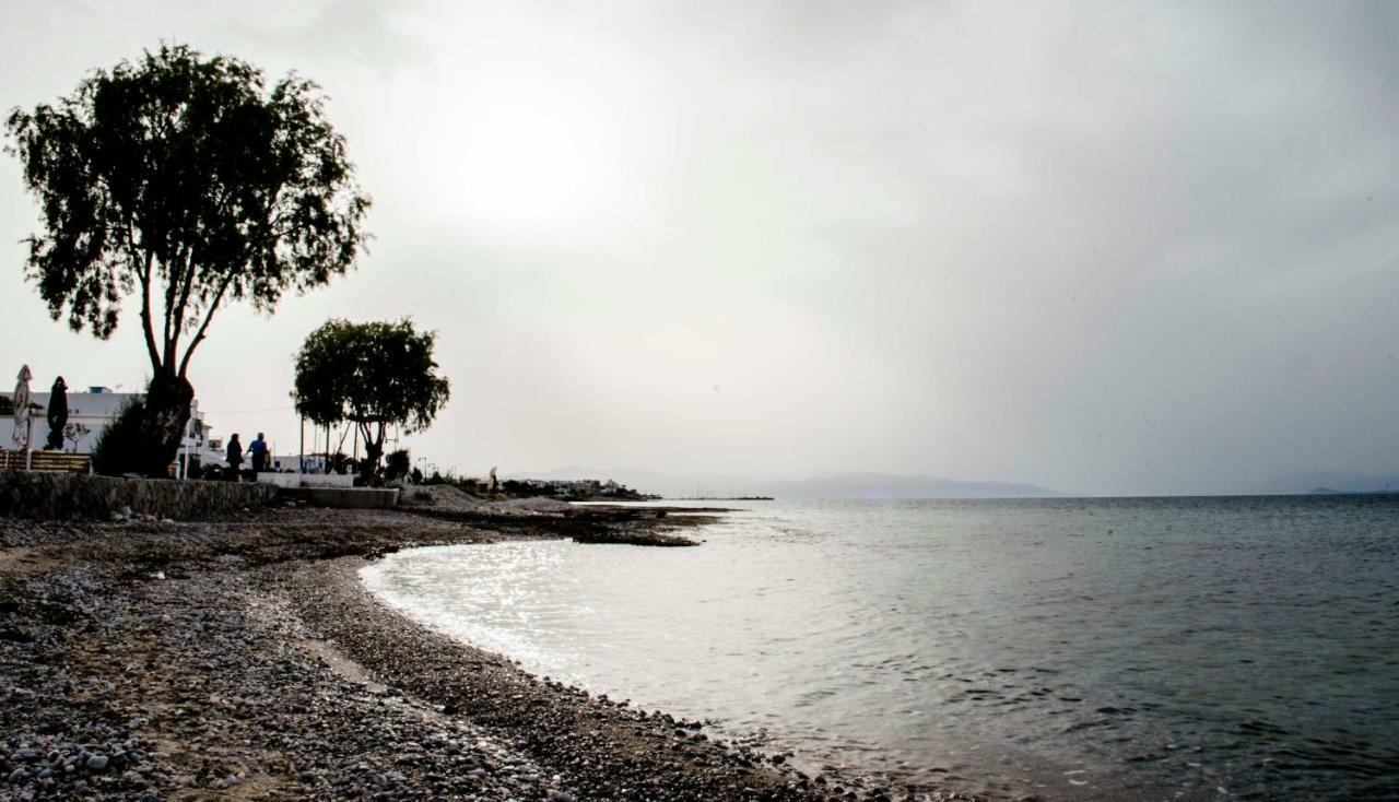 Studios Antoniou สกาลา ภายนอก รูปภาพ